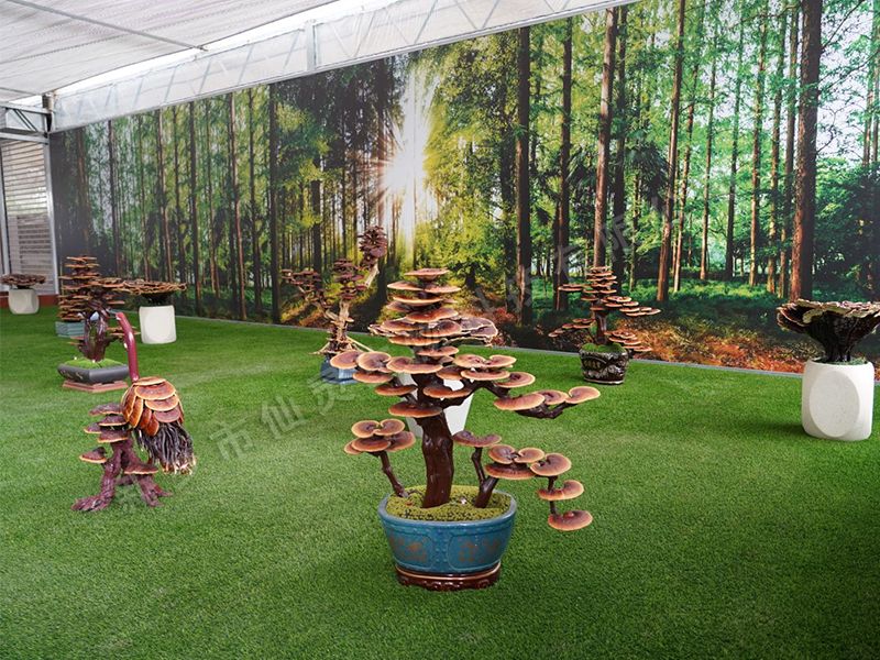 種植案例