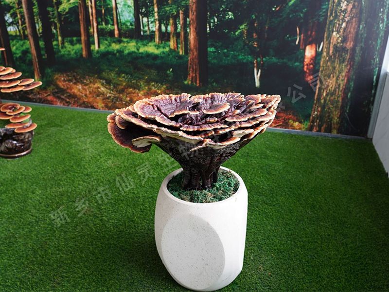 種植案例
